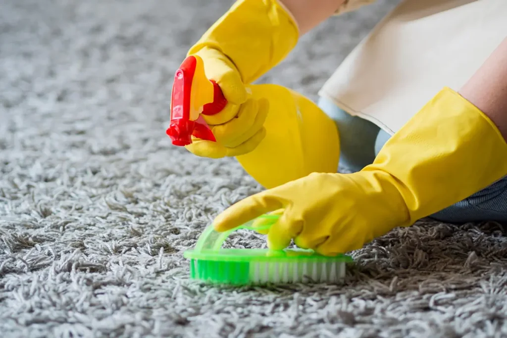 Professional carpet cleaning stains types of carpet stains carpet stain removal how to remove carpet stains professional carpet stain removal tough carpet stains