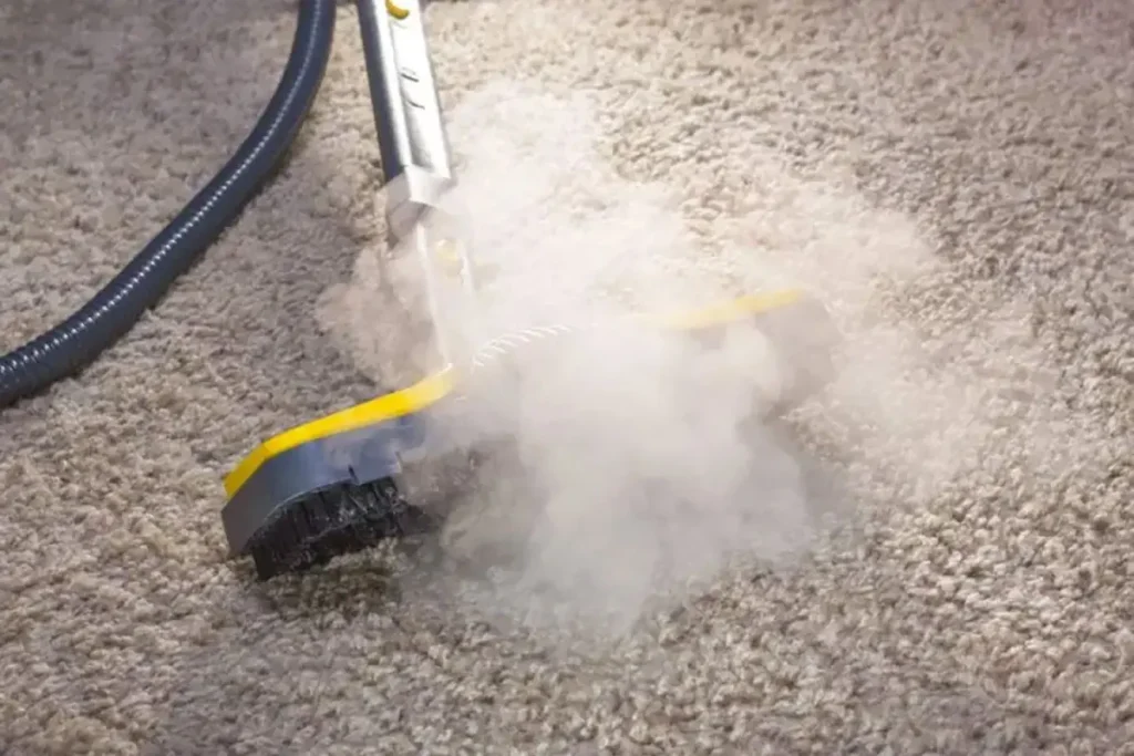 Steam Cleaning