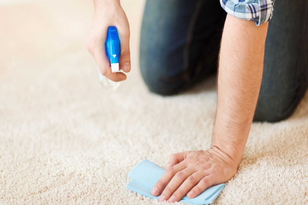 Spot and stain treatment