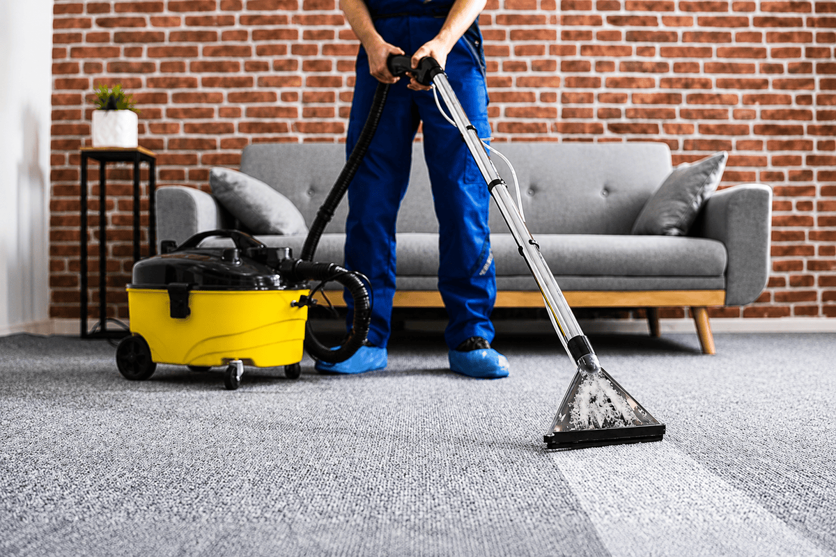 Carpet cleaning services in Kensington