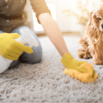 How to Remove Pet Urine Smell from Carpet