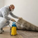 Can Professional Carpet Cleaning Remove Mould?