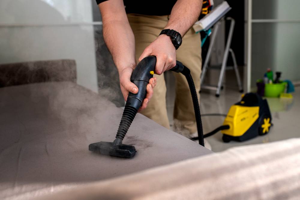 When a Sofa Needs Professional cleaning
