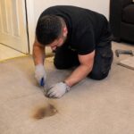The Burnt Carpet That Had to Disappear Before He Came Home