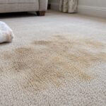 Why Does My Carpet Turn Brown or Yellow After Cleaning?