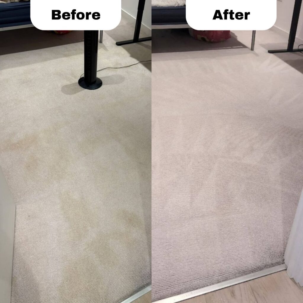 before and after image for Why Does My Carpet Turn Brown or Yellow After Cleaning?