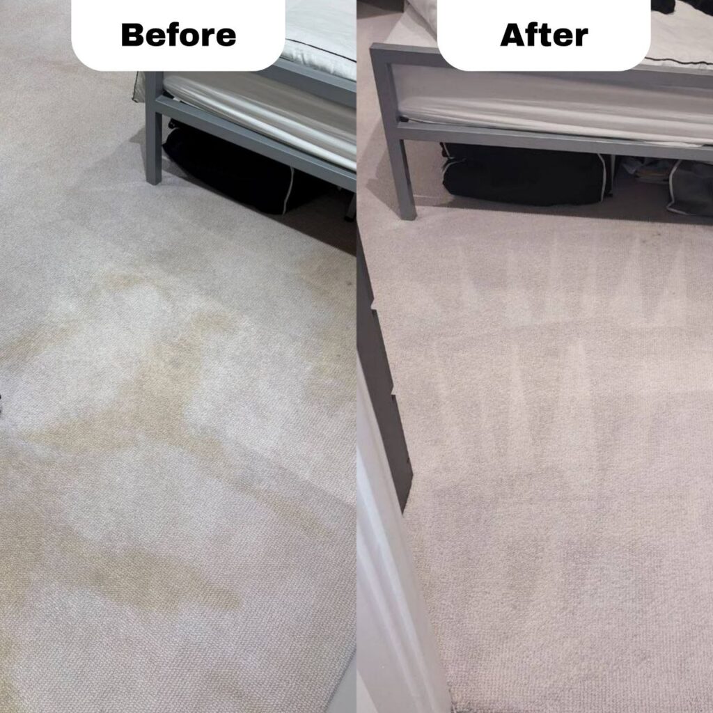 before and after image for Why Does My Carpet Turn Brown or Yellow After Cleaning?