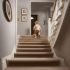 Stairs, up to 12 steps