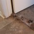 Pet damage around corners or seams