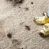 Specialist stain removal treatment
