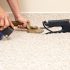 Small carpet patch repair